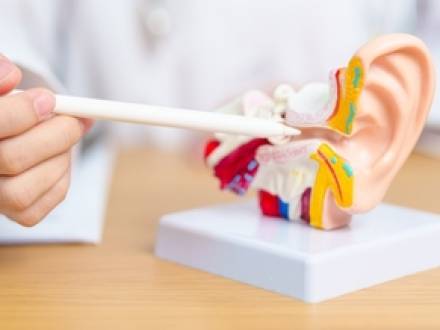 Gilroy, CA workers’ compensation